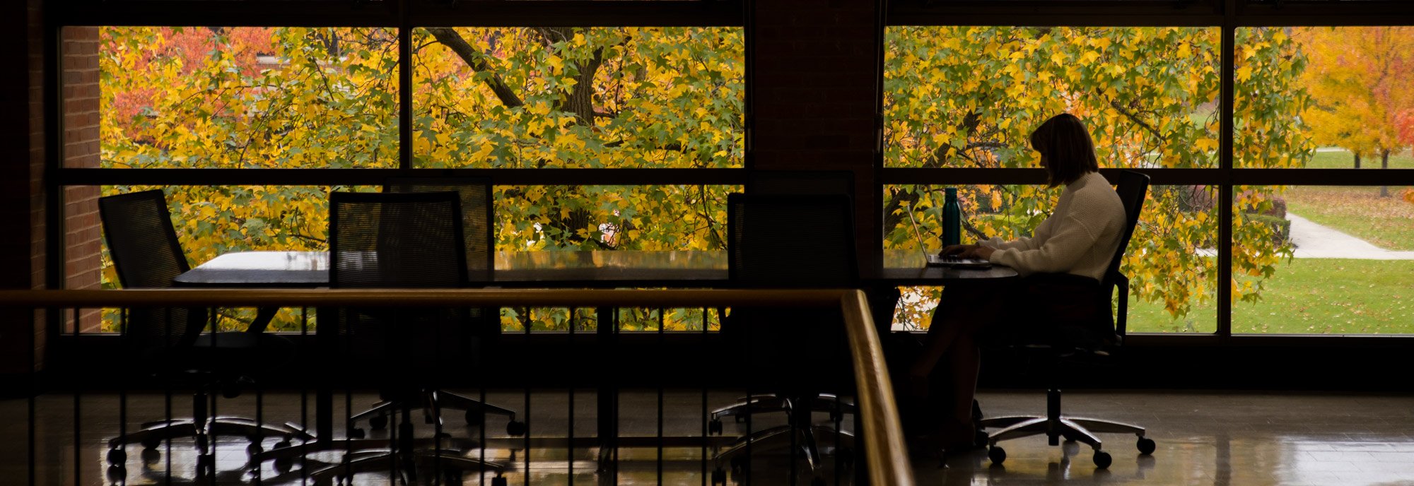 A student works in the Ohio Northern University College of Pharmacy. Fall leaves decorate the campus of Ohio Northern University.