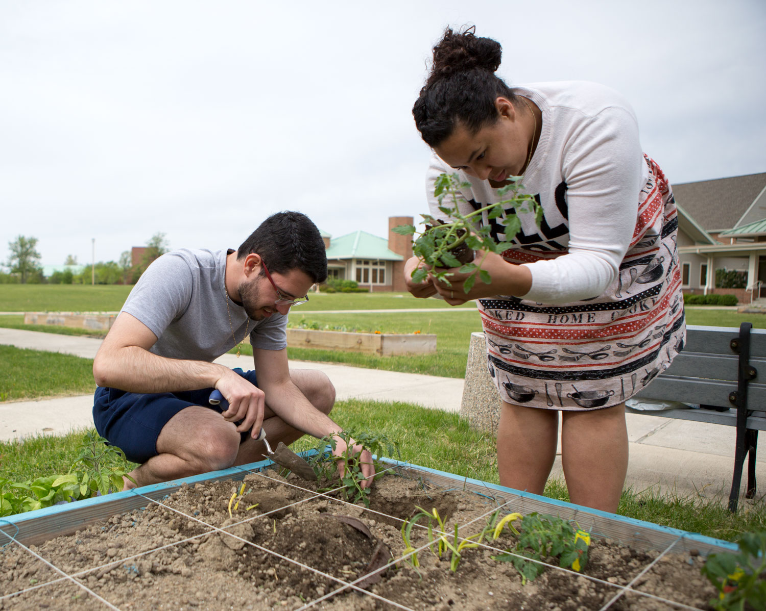students plant seeds in affinity gardens.