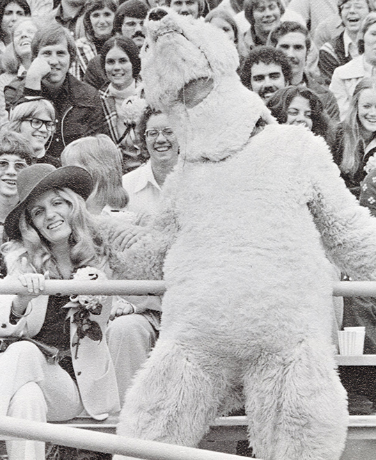 1975: Laid back Polar Bear