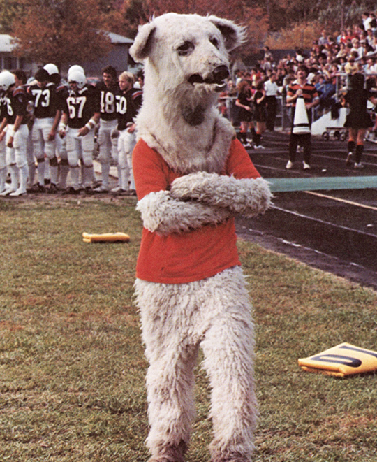 1980: Mangy dog or Polar Bear?